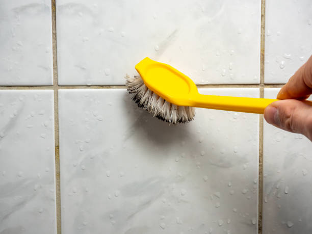 Mold Removal and Inspection in Piru, CA