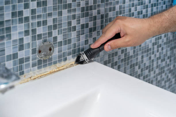 Best Office Mold Removal Services  in Piru, CA