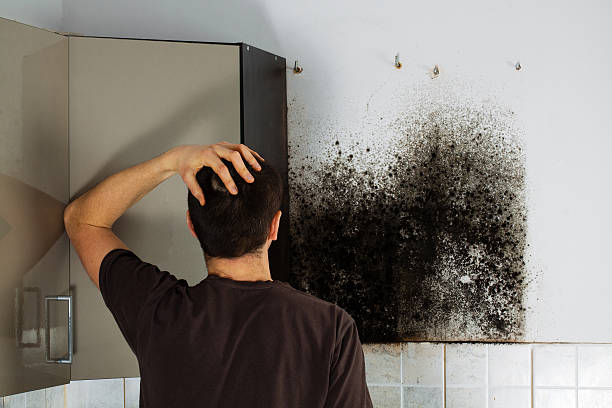 Best Residential Mold Removal  in Piru, CA